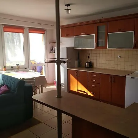 Apartament Parkowy غيجيتسكو